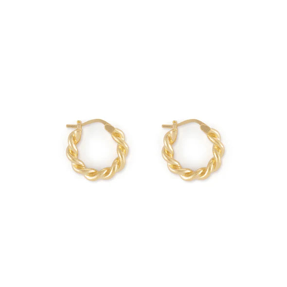 Twisted Chubby Rope Hoop Earrings